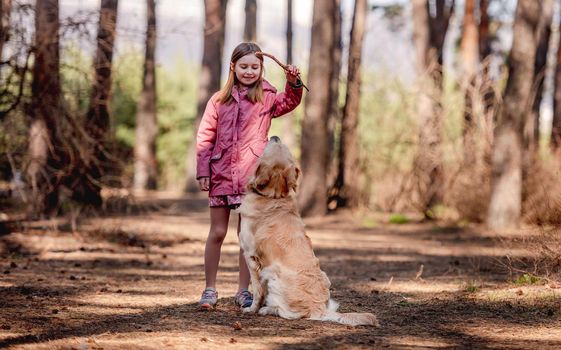 Little girl holding stick and playing with golden retriever dog in the wood