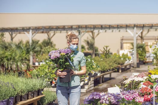 Girl with medical mask holds purple hydrangea in a pot at a flower shop