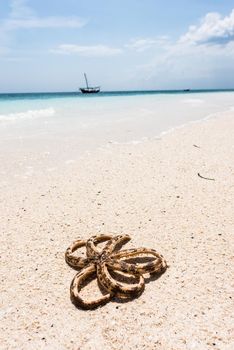 octopus on seashore with blue ocean with boat on the background