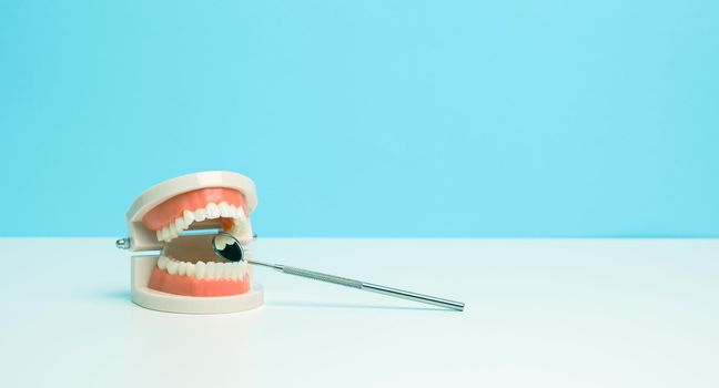 plastic model of human jaw with white even teeth and a medical examination mirror on a white table, copy space