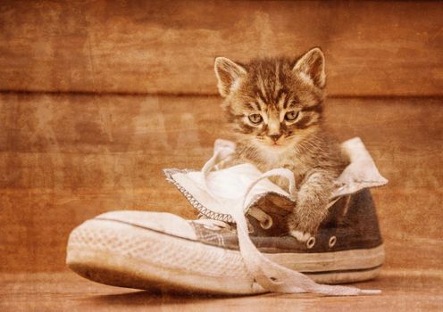 Little kitten is sitting in a shoe on a wooden background. Vintage image