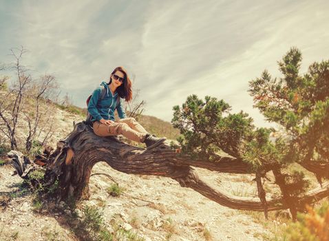 Beautiful young woman sitting on fairy old tree in summer. Image with sunlight effect