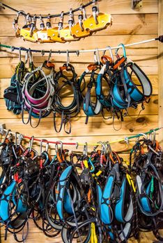 different climbing equipment and insurance hung on wooden wall in a house