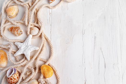 Sea shells with rope on white wooden background, copy space. Summer vacation concept