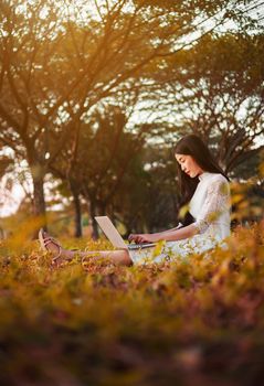 beautiful woman using laptop in the outdoor park