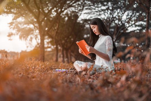 young woman reading a book in the park