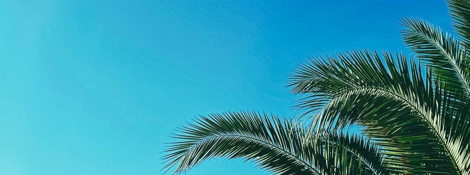 Summer holiday and tropical nature concept. Palm tree and blue sky in summertime.