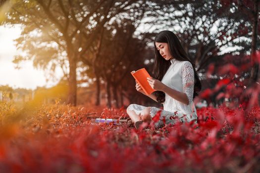 young woman reading a book in the park