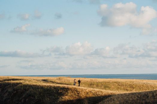 skyline with sea and grassy mountains