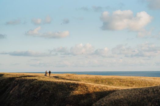 skyline with sea and grassy mountains