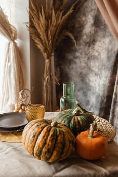 Autumn interior: a table covered with dishes, pumpkins, chair, casual arrangement of Japanese pampas grass. Interior in the photo Studio.