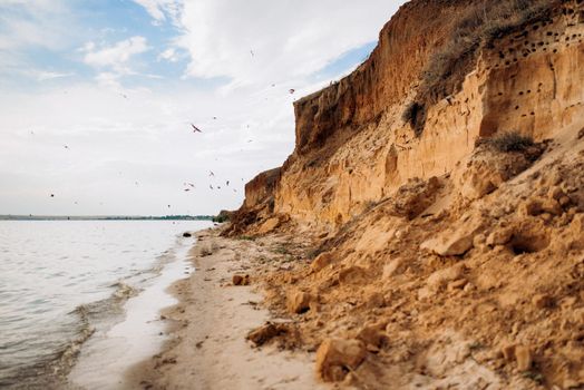 swallows fly over the seashore near nests in clay slopes