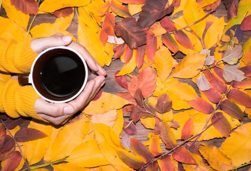 Female hands holding a cup of coffee in a yellow sweater against a background of bright colorful autumn leaves