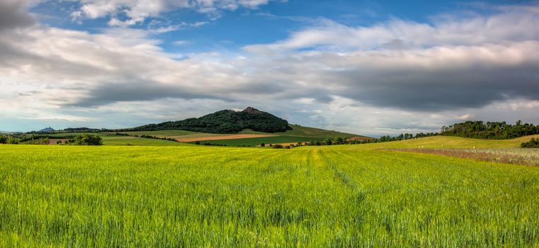 Summer landscape in Central Bohemian Uplands, Czech Republic. Panorama image.