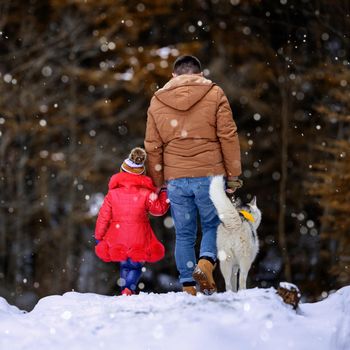 A father with a beautiful daughter and a husky dog are walking in the winter forest.new
