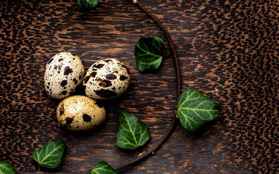 three quail eggs on a wooden stand. Palm tree stand. Around the eggs is a sprig of ivy