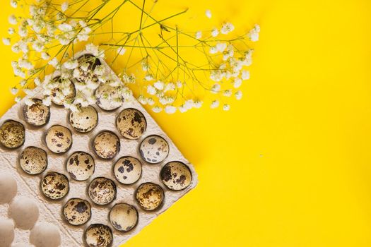 Easter background, various eggs on a yellow background, decorated with natural botanical elements, flat lay, view from above, empty space for text