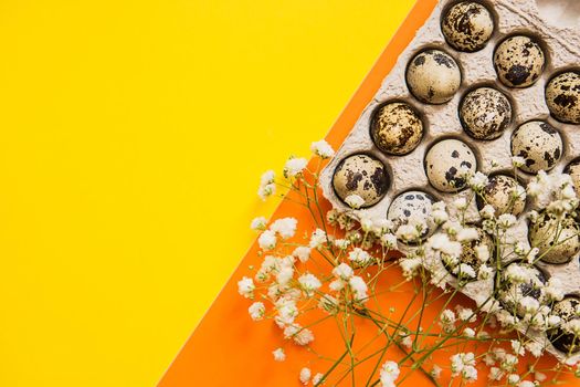 Easter background, various eggs on a yellow background, decorated with natural botanical elements, flat lay, view from above, empty space for text