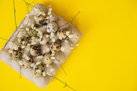 Easter background, quail eggs on a yellow background, decorated with natural botanical elements, flat lay, view from above
