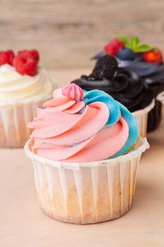 colorful cupcakes with different Tastes. Small beautifull cakes