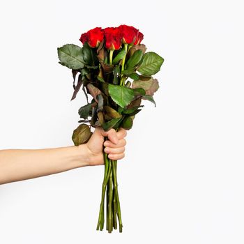 Beautiful bouquet of red roses in a woman hand isolated on white background. Trendy poster for Valentines Day, International Womens Day or mothers day. Copy space