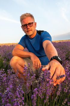 Lavender flower blooming scented fields in endless rows. Selective focus on Bushes of lavender purple aromatic flowers at lavender field. Abstract blur for background.