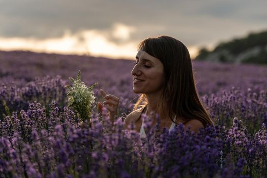 Lavender flower blooming scented fields in endless rows. Selective focus on Bushes of lavender purple aromatic flowers at lavender field. Abstract blur for background.