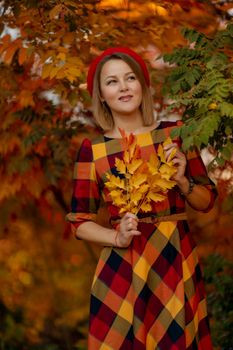 Beautiful girl walking outdoors in autumn. Smiling girl collects yellow leaves in autumn. Young woman enjoying autumn weather