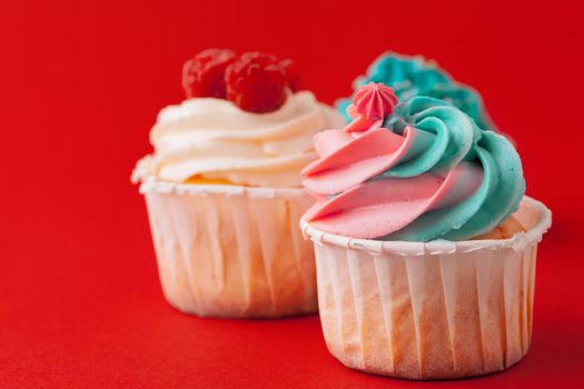 Set of various fondant cupcakes ready to be eaten - bright and colorful set