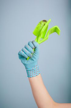Hand holding garden tools on blue background
