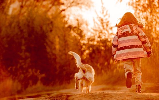 Little girl child with golden retriever dog running in sunset time outdoors. Kid with doggy pet labrador together at autumn nature