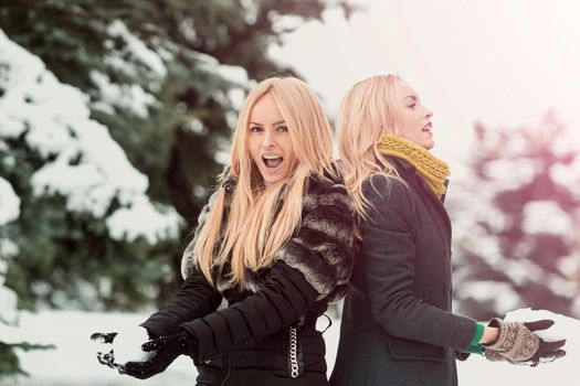 Twins women playing snowballs in forest on snow park. Girls with smiling outdoors on winter day. Christmas and new year girls concept. Active winter lifestyle and vacation.