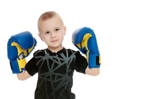 Sports boy in boxing gloves. The concept of a harmonious development of the child, a healthy lifestyle. Isolated on white background.