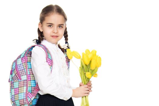 Beautiful little blond schoolgirl, with long neatly braided pigtails. In a white blouse and a long dark skirt.She is holding a bouquet of yellow tulips.Isolated on white background.