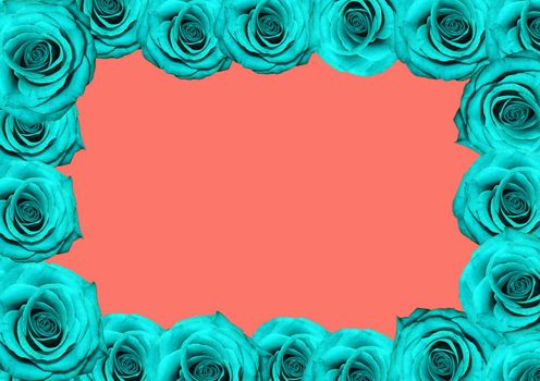 Blue roses square frame on coral background. Modern floral frame. Top view
