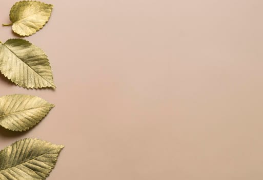 Leaves in gold paint on a beige background with a horizontal stripe on the left. Autumn concept. Top view of autumn leaves in gold paint on beige with copy space for your text to the right