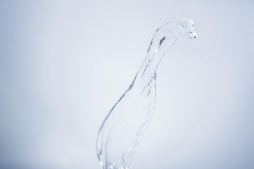 Water splashing on white background