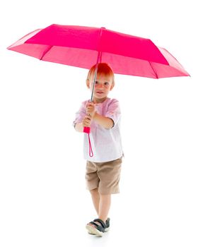 A cute little boy took refuge under an umbrella. Concept game, happy childhood. Isolated on white background