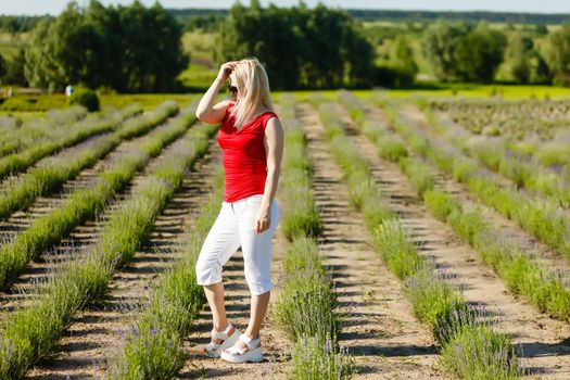 Beautiful provence woman relaxing in lavender field watching on sunset holding basket with lavanda flowers. blond lady in blossom field