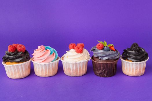 Beautiful cupcake against saturated dark purple background