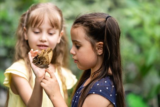 two little girls with butterflies in a greenhouse