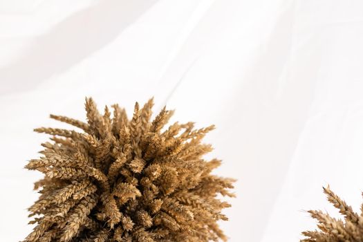 Spikelets of wheat on isolated on white background