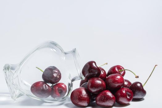 Cherry white background