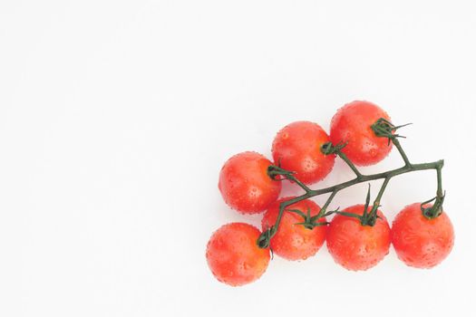 Ripe cherry tomatoes on a twig on a white background - image