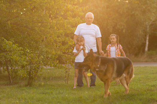 grandfather and two granddaughters are walking in the park