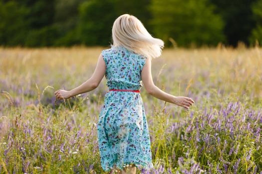 beautiful girl in a summer field