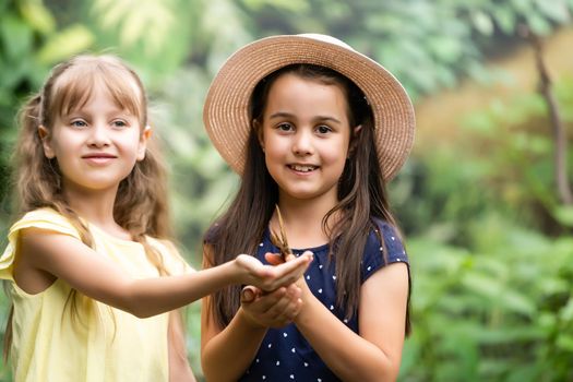 Two little sisters holding a butterfly in their hands. Children exploring nature. Family leisure with kids at summer.