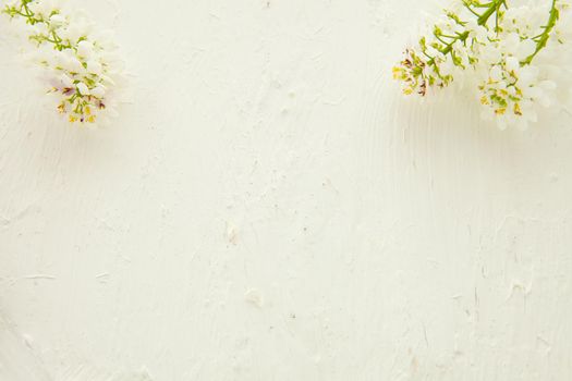 Beautiful pastel floral border beautiful blurred background. shallow depth of field . white background with flowers