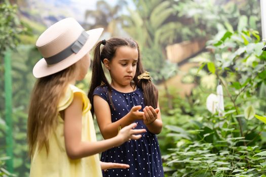 Two little sisters holding a butterfly in their hands. Children exploring nature. Family leisure with kids at summer.