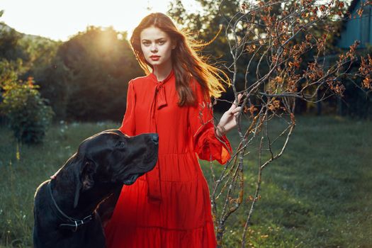 cute woman outdoors from purebred dog walk. High quality photo